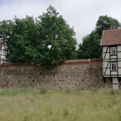 Stadtmauer mit Wiekhäusern