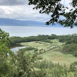 Along Lake Neuchatel