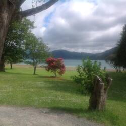 The view from the garden