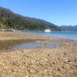 The launch approaches the jetty