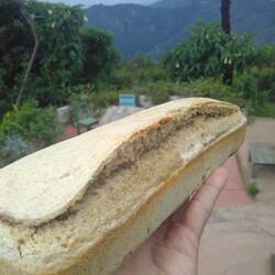 First sour dough bread prototype