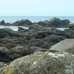 There are seals in there somewhere