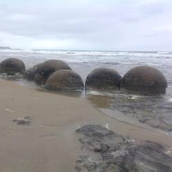 Moeraki boulders on the beach