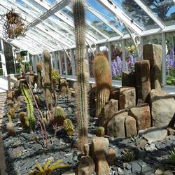 The Cactus House -Dunedin Botanic Gardens
