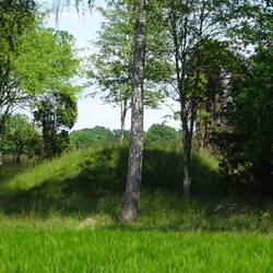Grabhügel aus der Bronze- und Wikingerzeit