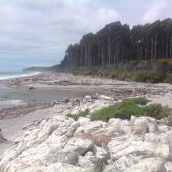 Bruce Bay