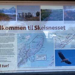 Info om Skeisnesset