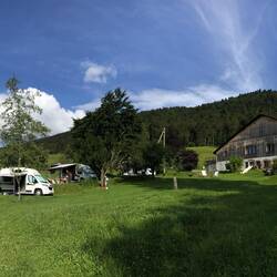 Max 5 big and 3 small vans!