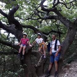 Dans le sentier des Dentelles de Montmirail