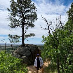 Tree growing out of the rock ... Cheyenne Mtn SP, Colorado Springs, CO.