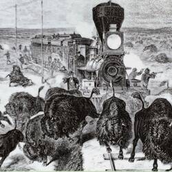 Shooting bison from the train for sport ... so sad IMHO — Cheyenne Mtn SP, Colorado Springs, CO.