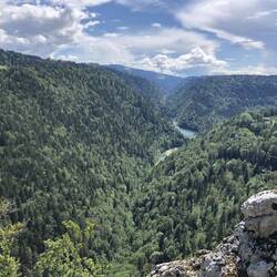 Uff finally back up!