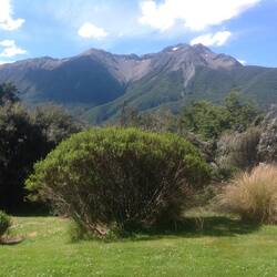 The view from our room!