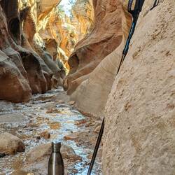 Willis Creek