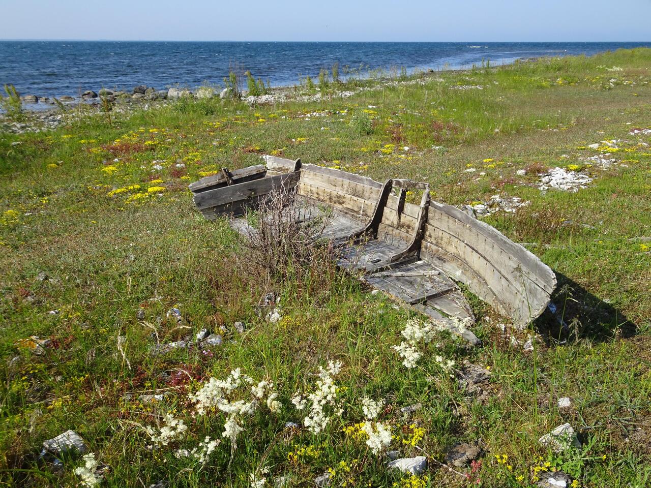 Eines von vielen seeuntauglichen Booten an Gotlands Küste