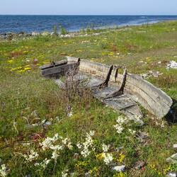 Eines von vielen seeuntauglichen Booten an Gotlands Küste