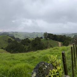 Am Ende des Waipu Cave Tracks