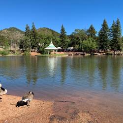I'm not the only one enjoying the view @ Lake Park — Green Mountain Falls, CO.