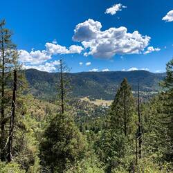 Trees, trees everywhere — Catamount Falls Trail, GMF, CO.