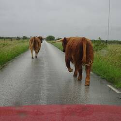 Kein Problem, wir gehen voraus... 😖