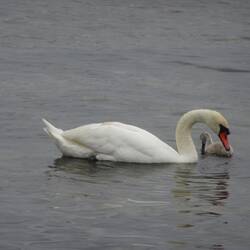 Mama, sind wir gleich daaa?