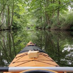 Paddeln im Spreewald