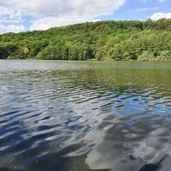 Bassin de la Courance