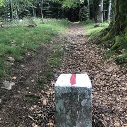 Einer der grenzsteine