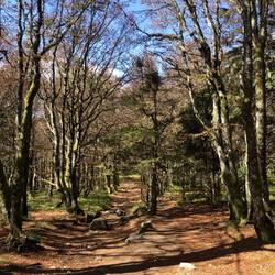 Da oben auf 1300 m war noch herbst