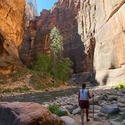 Die Narrows