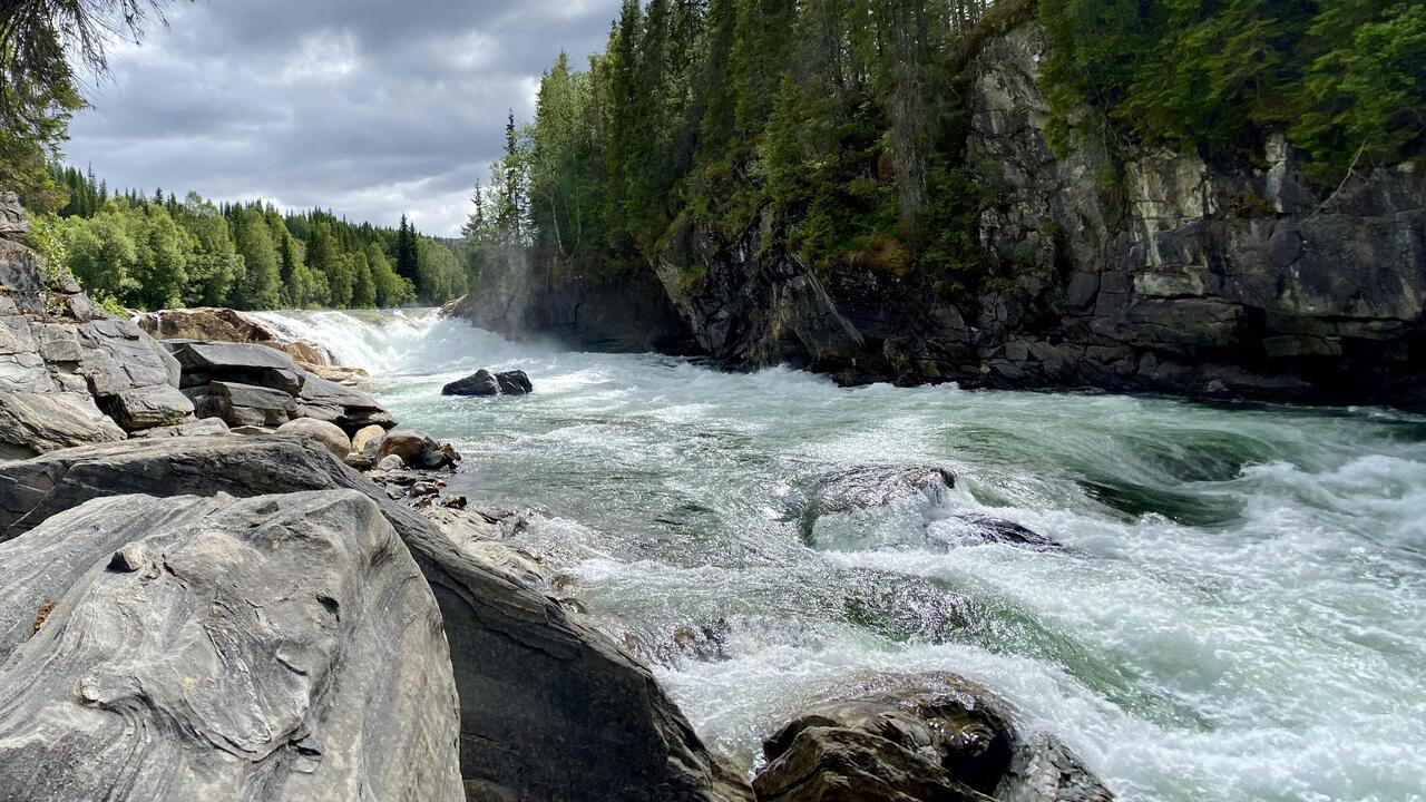 Svenningdalselva.