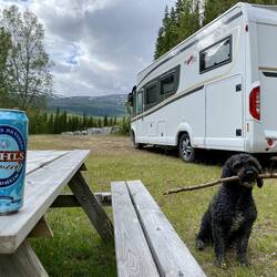 Og så var det tid for dagens belønning 🐕👍