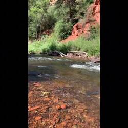 A short video of the gurgling Fryingpan River from our picnic spot — near Basalt, Colorado.