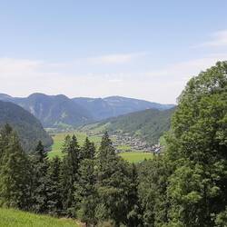 Bizau