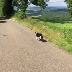 Der ist mir insgesamt ne halbe stunde gefolgt