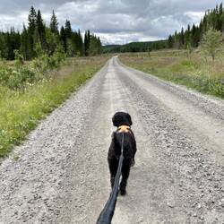 Turen starter med 2 km grusvei fra Trofors St.