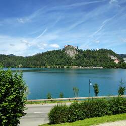 Die Bleder Burg