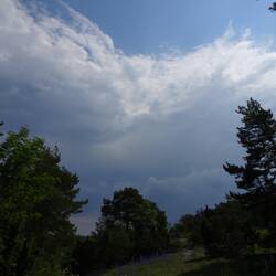Das Gewitter ist gut hörbar, zieht aber knapp vorbei.