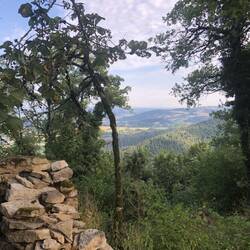 Der weg führte auch heute oberhalb des tals entlang