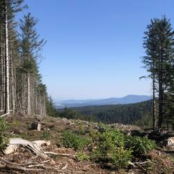 Das ist wohl das was auf mich zukommt