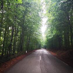 Rainy road down the volcano