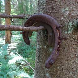 Bronze? Eher nicht... 🤔