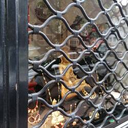 Buddha im Gefängnis 😉