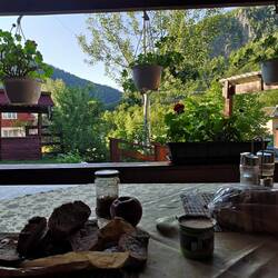 Breakfast with the sun