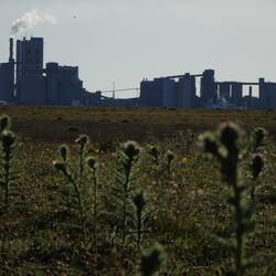 Hier Natur - drüben Zementfabrik