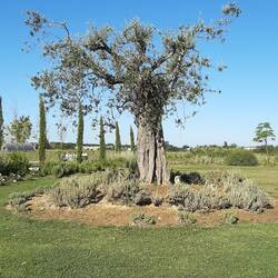 Nun geht's weiter...im Gepäck tolle Bilder im Kopf