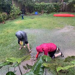 Bit of drain digging.