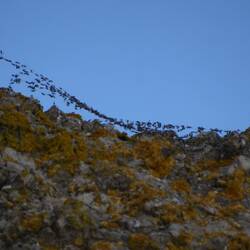 Überall Spinnweben...