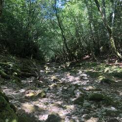 Das war ein trockenes Flussbett dem ich ca 4 km gefolgt bin