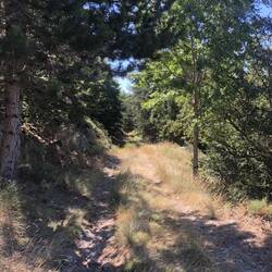 Die mir liebsten Wege